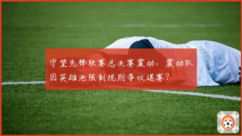 守望先锋联赛总决赛震动，震动队因英雄池限制规则争议退赛？