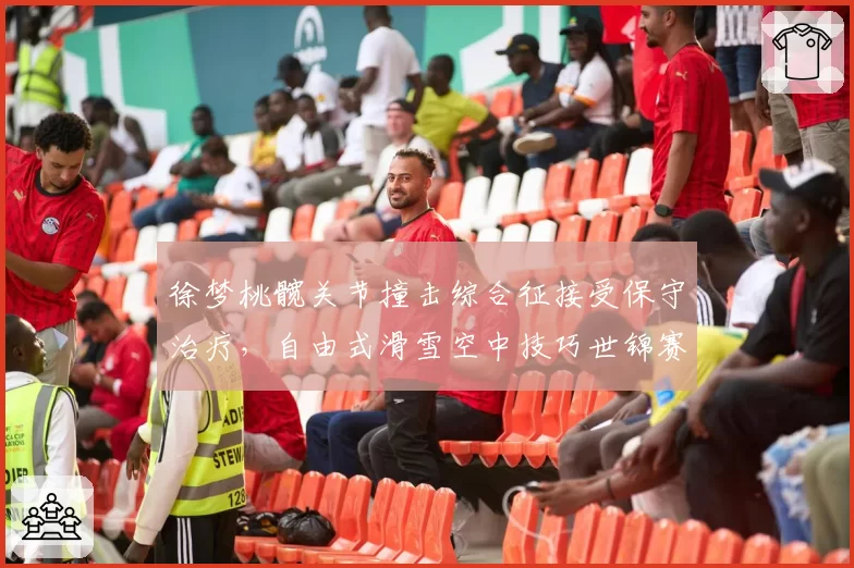 徐梦桃髋关节撞击综合征接受保守治疗,自由式滑雪空中技巧世锦赛备战受影响